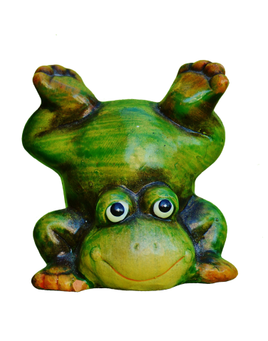frog-2581635_1920.png